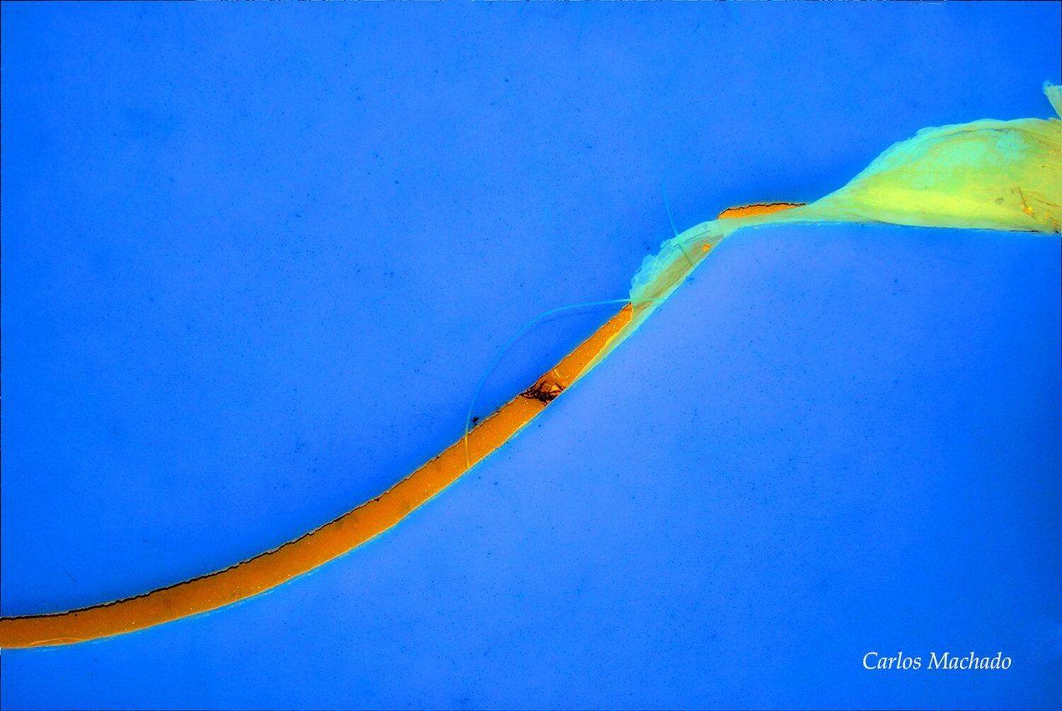 macro, urban, still life, Carlos Machado