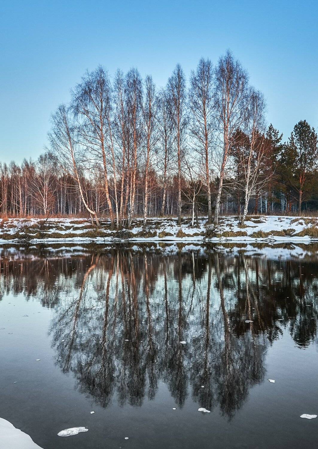 , Олег Богданов