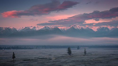 Холодное утро в Курайской степи / Cold morning in the Kurai steppe.