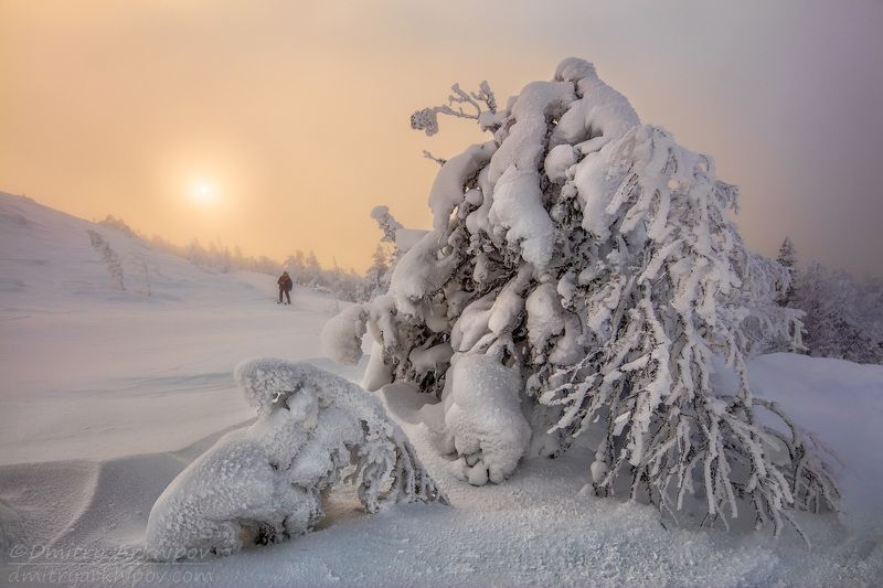 Зимнее Солнце. фото превью