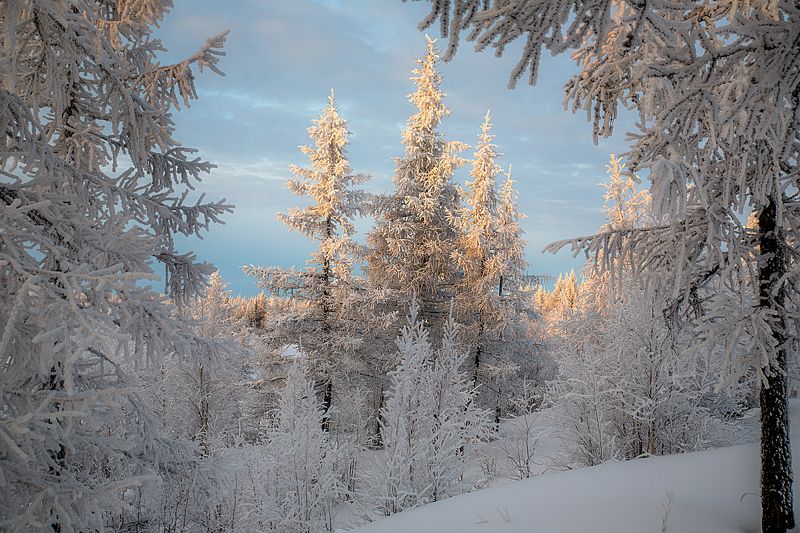 На закате дня фото превью