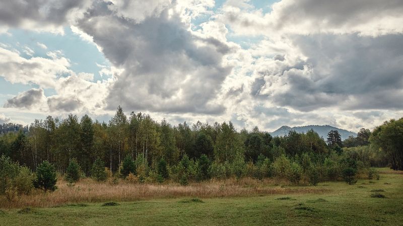 Алтай, Небо, Пейзаж, Поле, Природа Русское поле фото превью