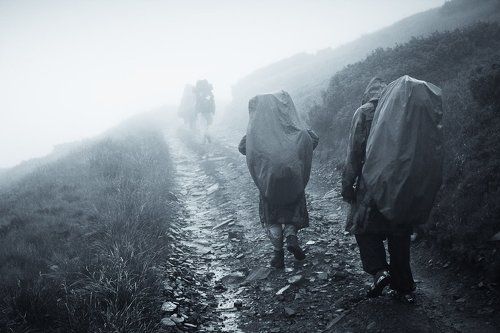 Карпаты встречают дождем