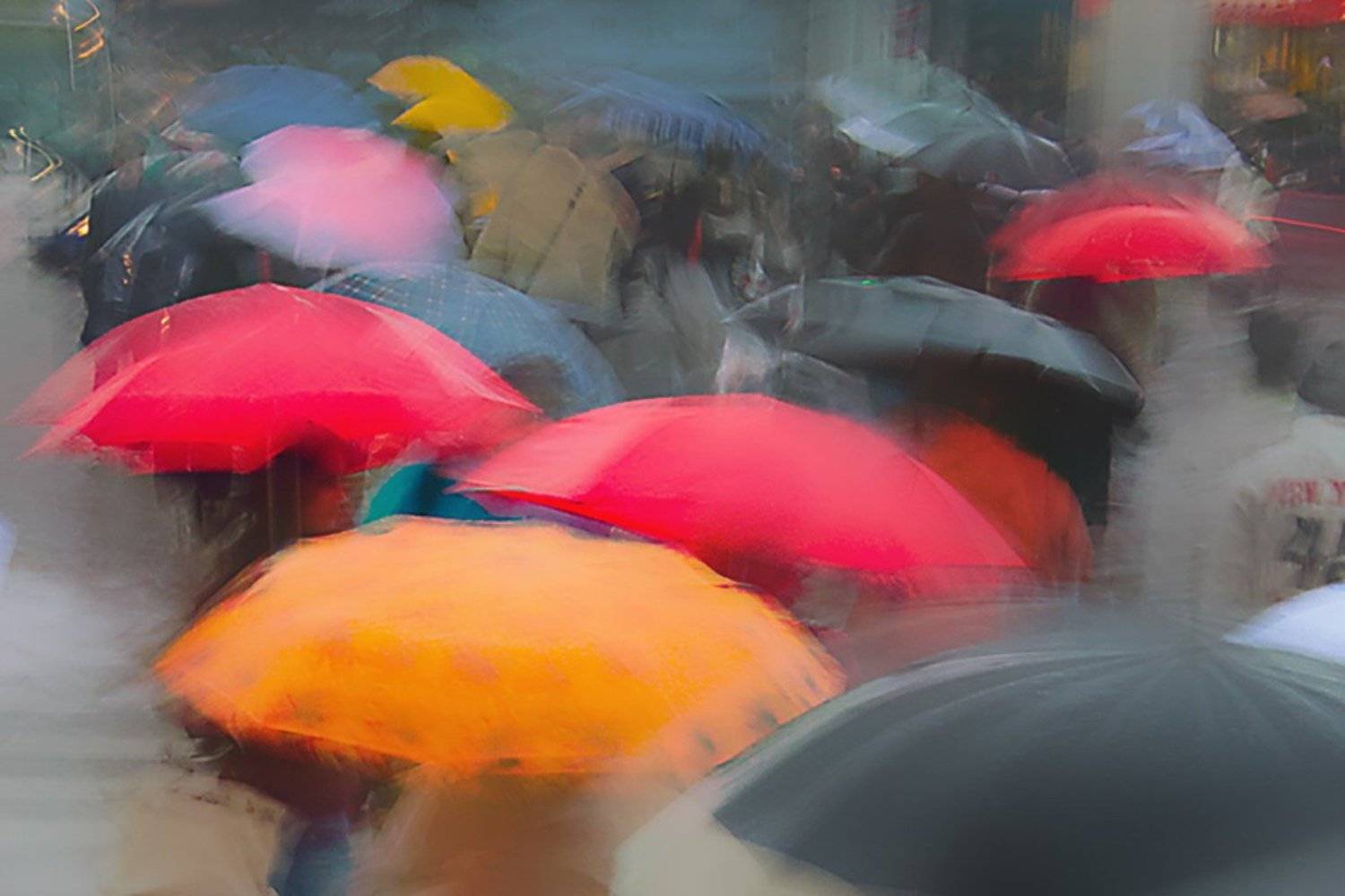 Дождьлюди, BLUZ