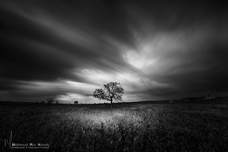 Lonely фото превью