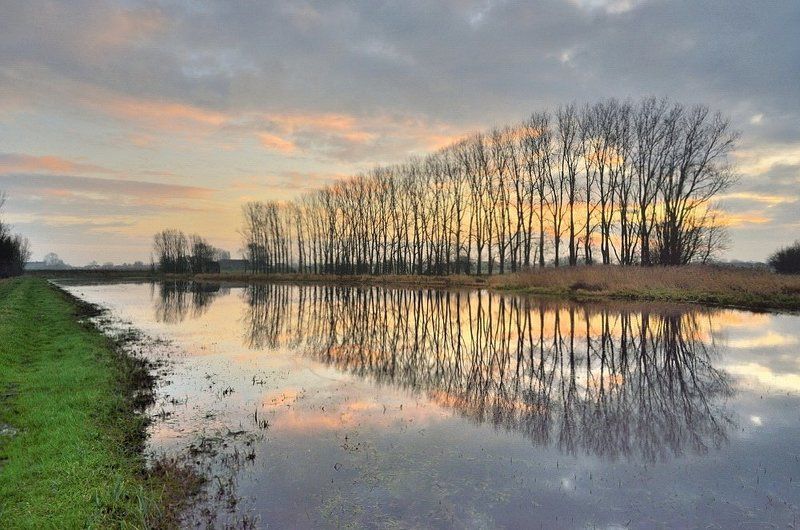 A morning in Woumen. фото превью