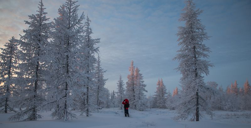 Прогулка фото превью