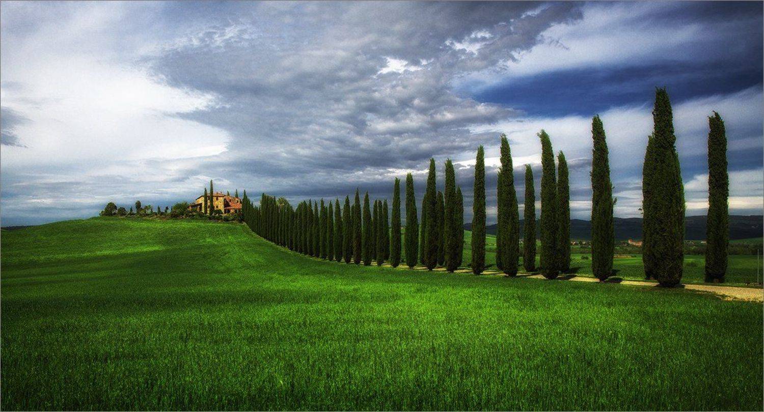 , Владимир K.