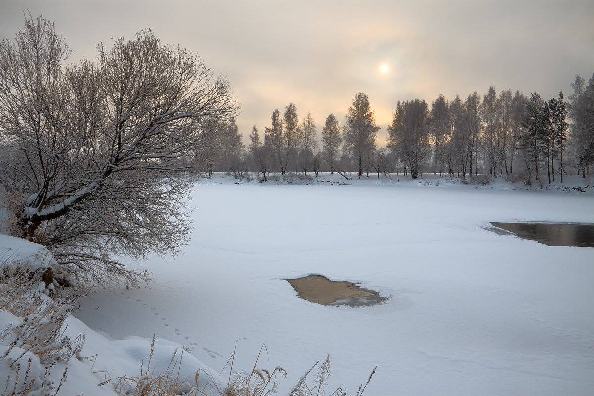 , Николай Морский