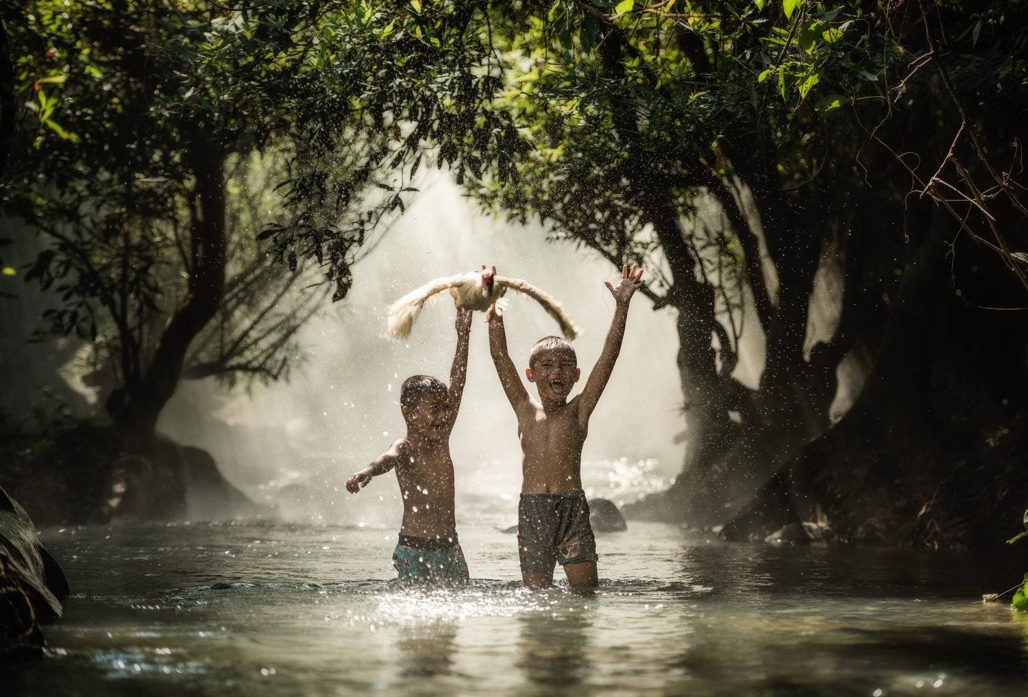 boy; open; kid; retro; move; water; fly; hands; blond; flowers; arms; happiness; duck; sunny; wheat; thai; summer; jump; freedom; two; walk; smile; recreation; face; body; run; motion; outdoors; joy; cheerful; fresh; child; nature; alone; little; sport; h, Sasin Tipchai