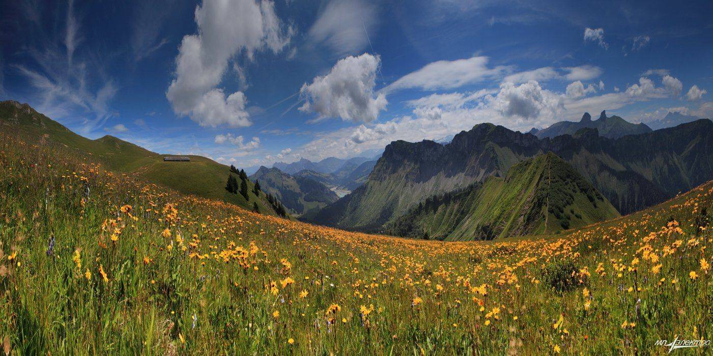 , Матвеев Николай