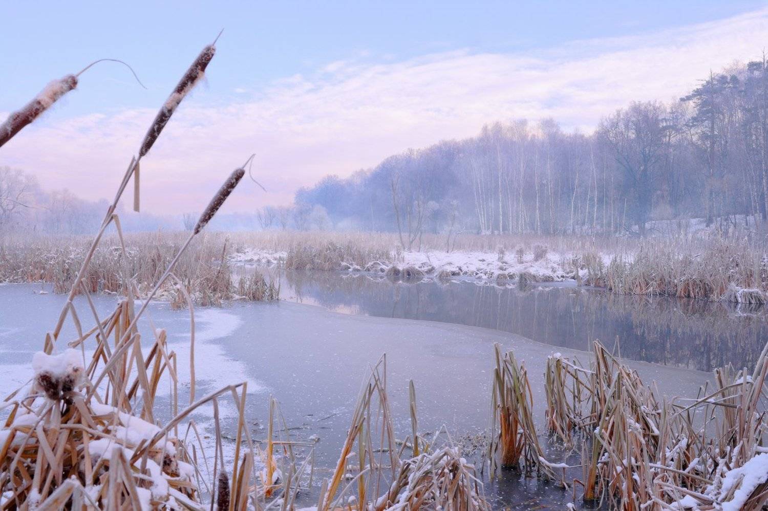 Зима, Мороз, Подмосковье, Рассвет, Утро, Виктор Климкин