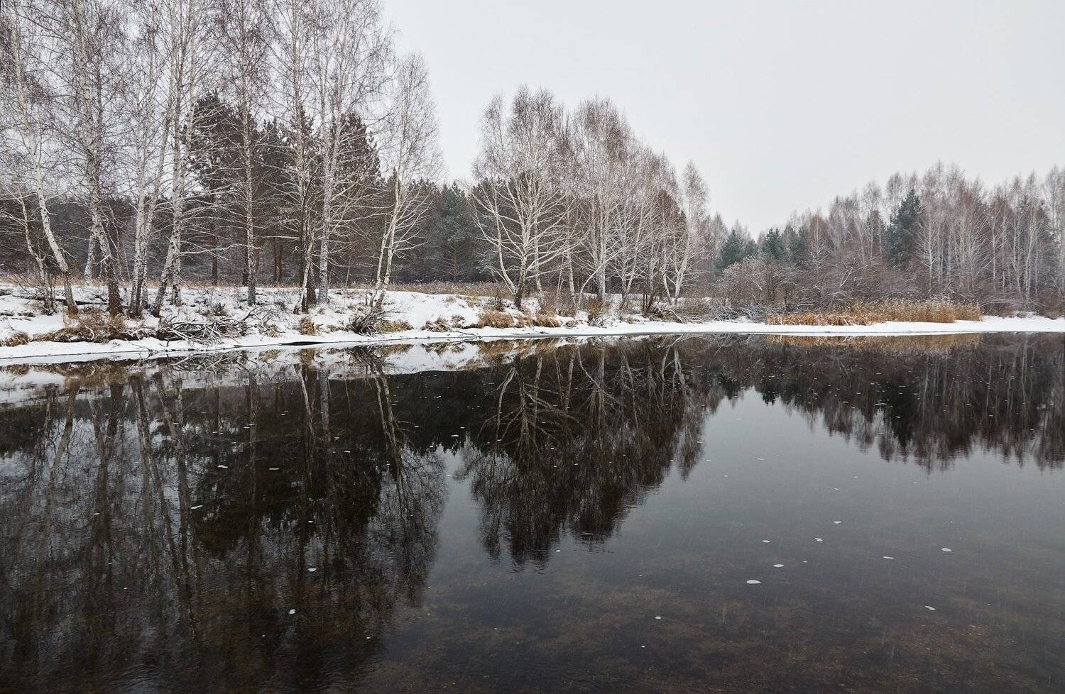 , Олег Богданов