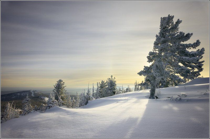 горная, шория, шерегеш, гора, зеленая, каритшал, зима, снег, стыврин, андрей на закате фото превью