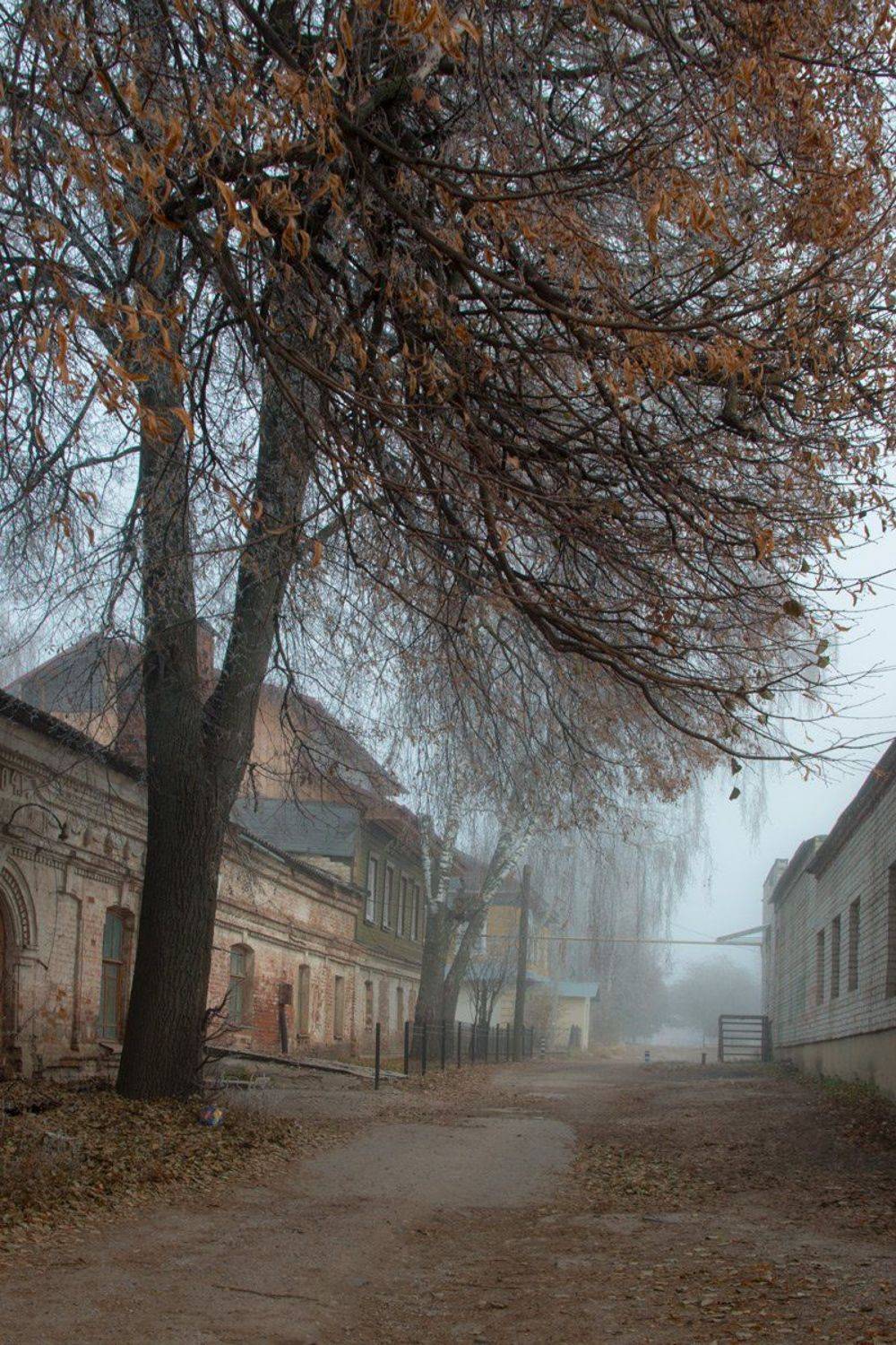 , Александр
