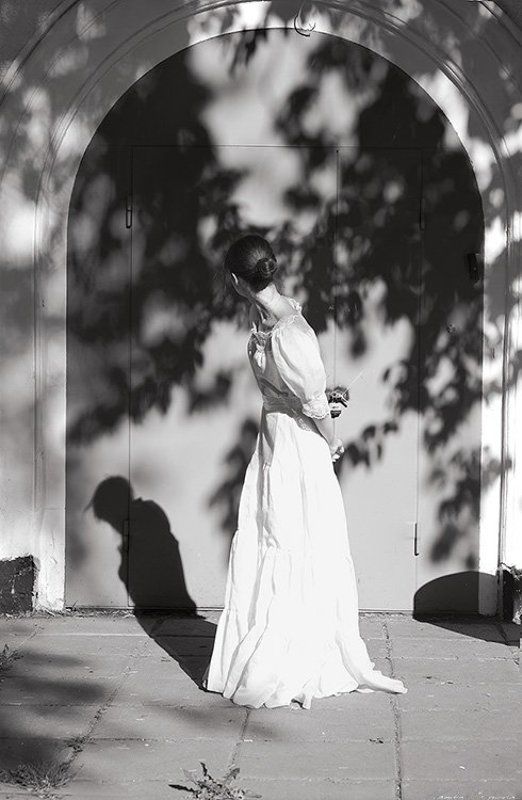 Wings of the shadows фото превью