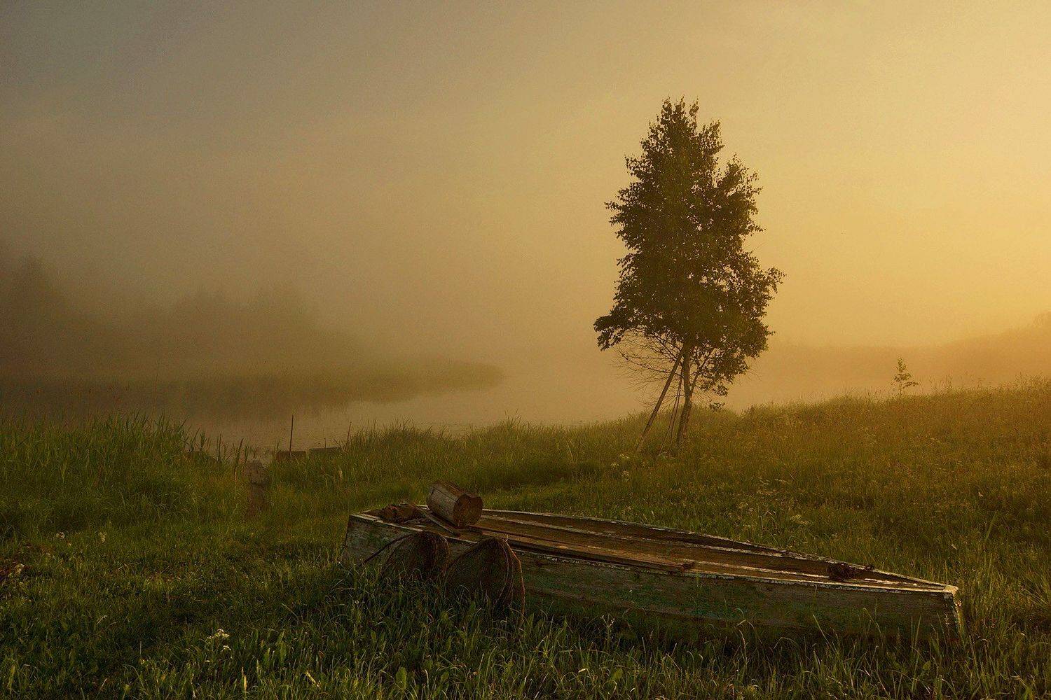 Рассвет, Усвяча, Церковище, Петр Косых