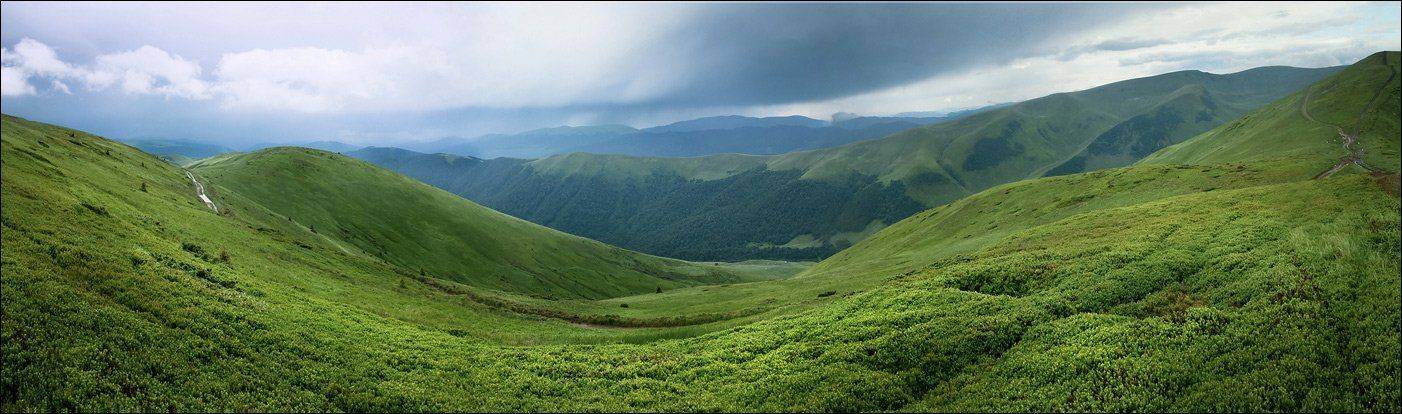 карпаты,  горы,  лето,  дождь, свидовец, облака, туман, украина, Алексей Медведев