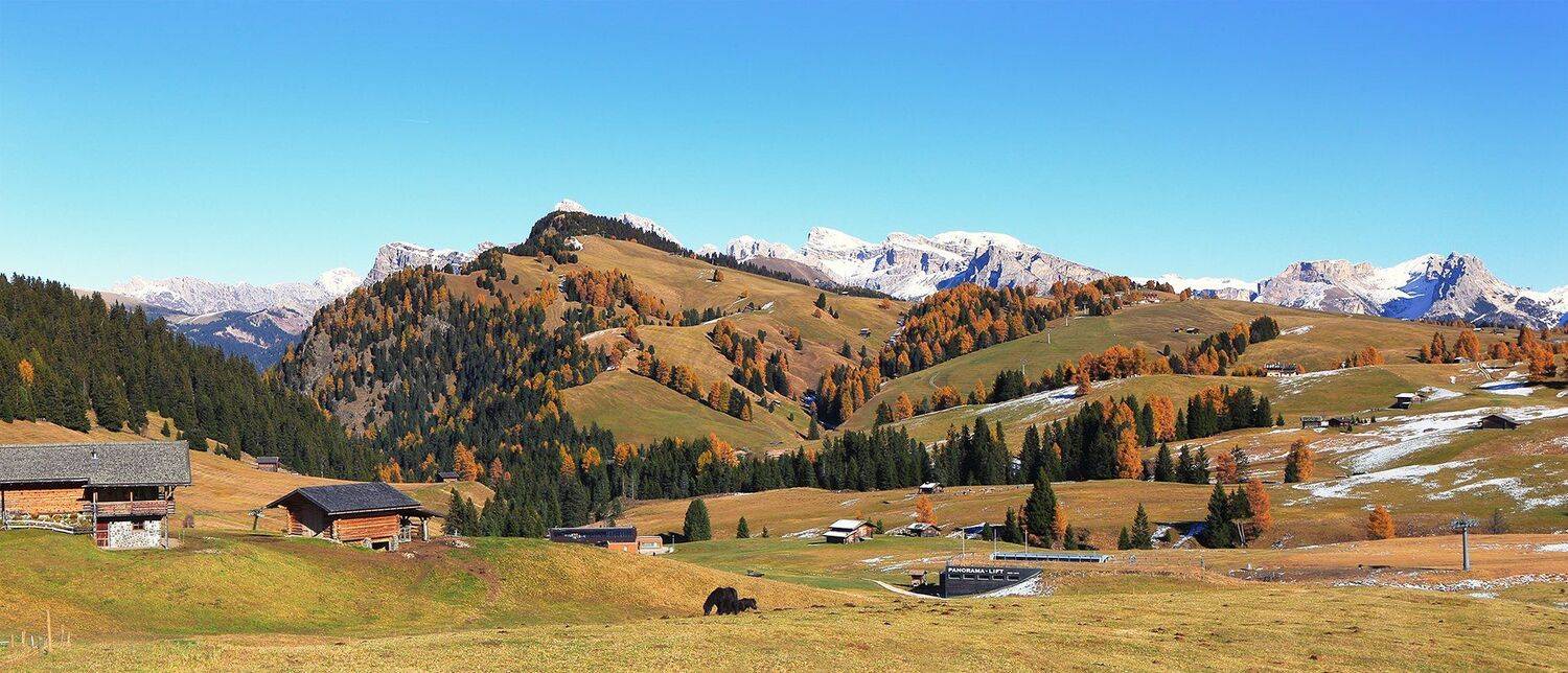 , Игорь Дубровский