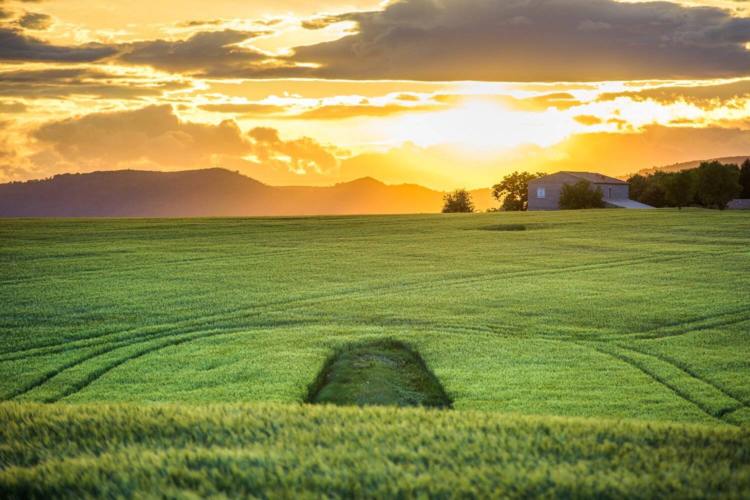 Весна, Вечер, Закат, Поле, Прованс, Франция, Василий Яковлев