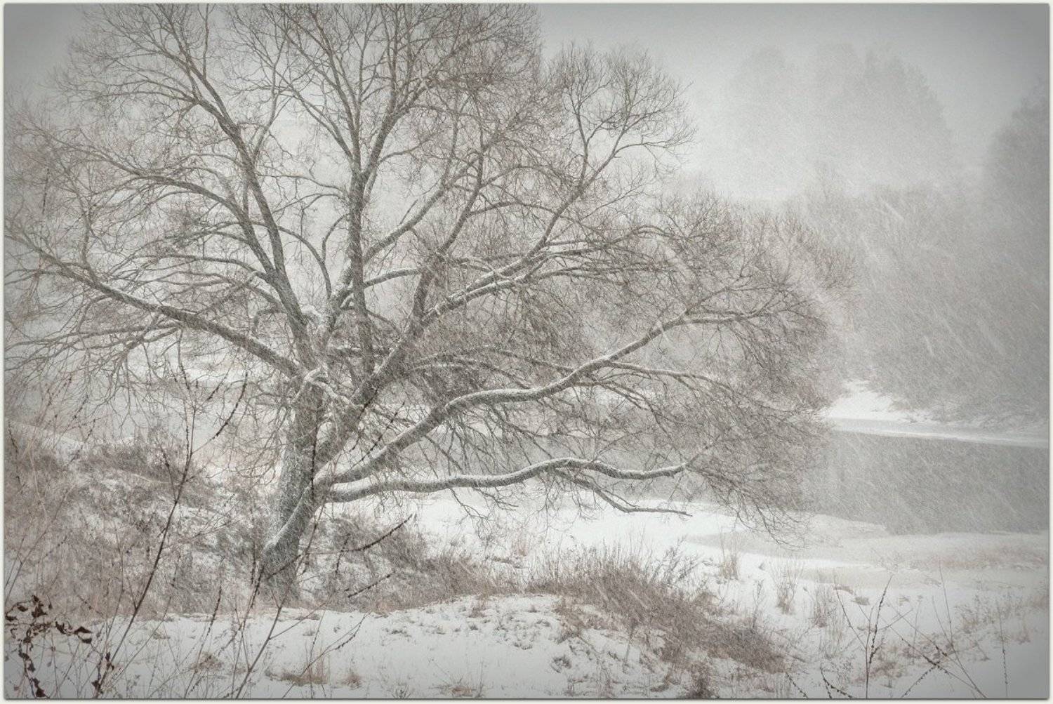 зима, зима пришла, метель, природа  времена года, снег идет, Лидия Киприч