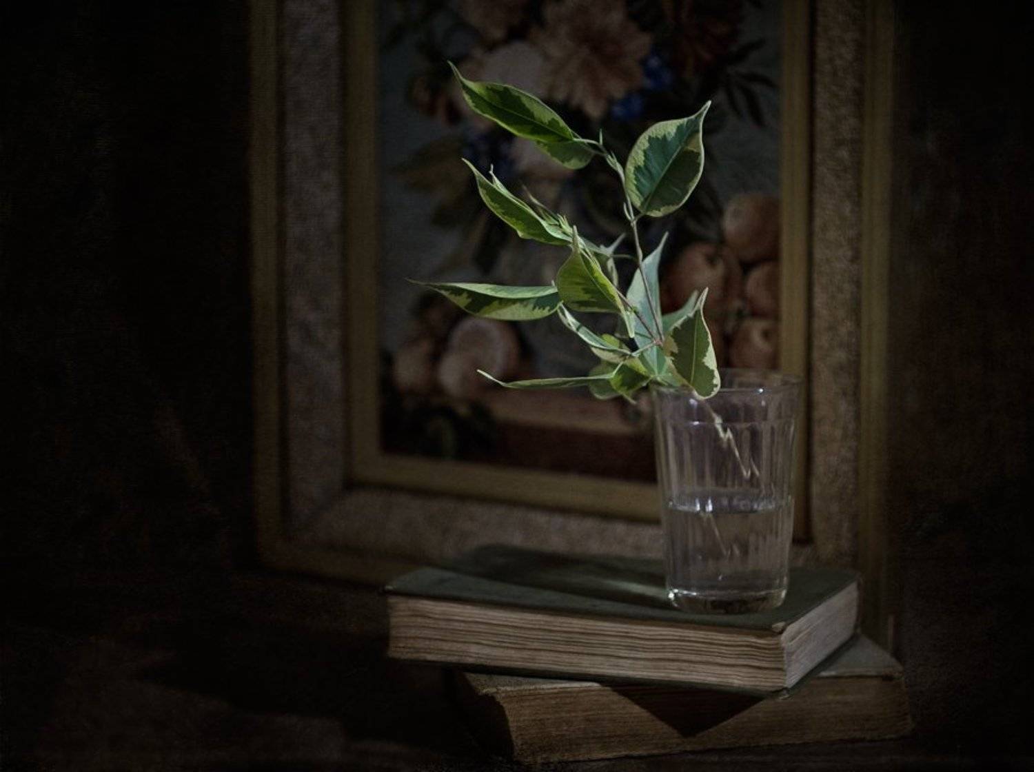 , Михаил Анисимов