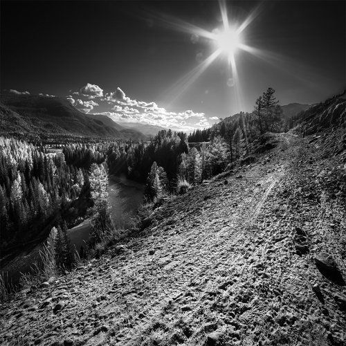 Жареное солнце