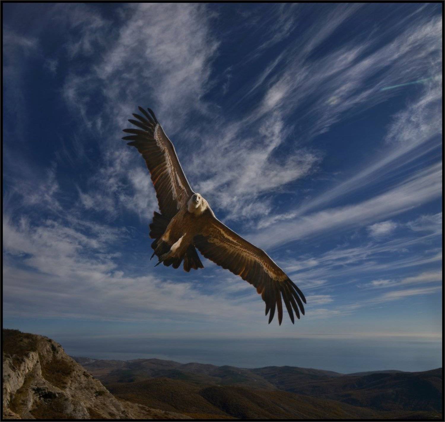 , Владимир Метцгер