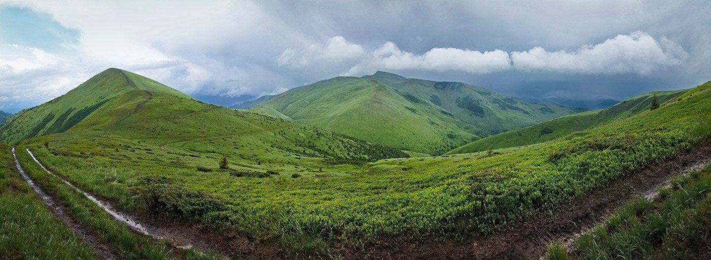 карпаты,  горы,  лето,  дождь, свидовец, облака, туман, украина, Алексей Медведев