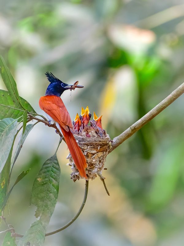 My Family. My Paradise. фото превью