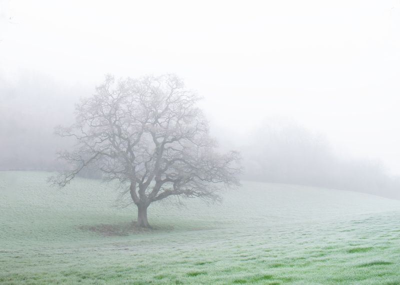 Зимнее утро фото превью