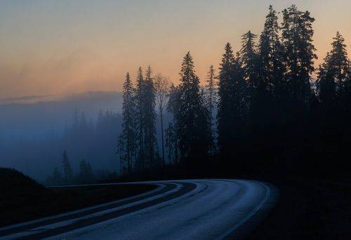 Дорога в новый день