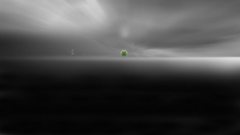 A lonely tree фото превью