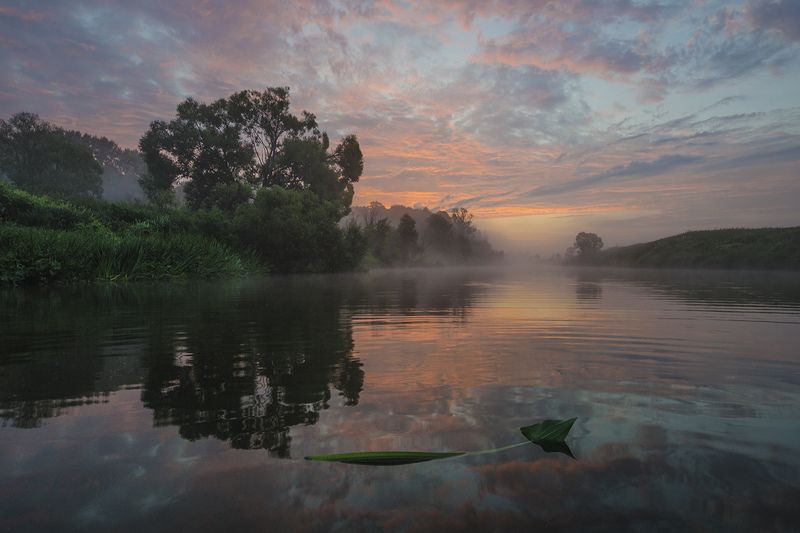 лето, утро, рассвет, река, упа, якшино В утреннем небе спят облака фото превью