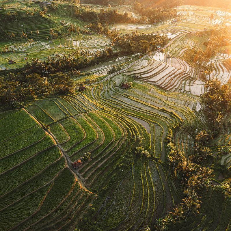 Jatiluwih sunrise фото превью