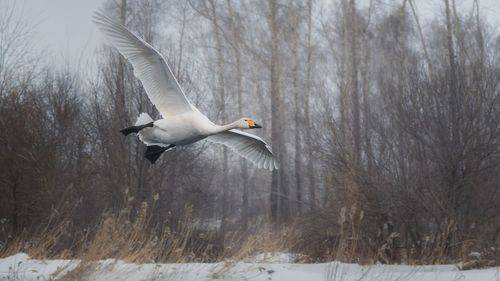 Заход на посадку.