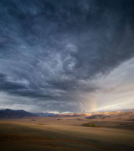 В ожидании дождя. /  Waiting for the rain.