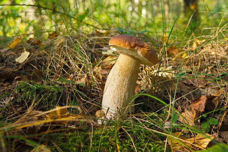 Мама и малыш фото превью