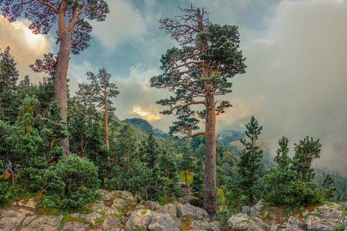 На плато Лаго-Наки