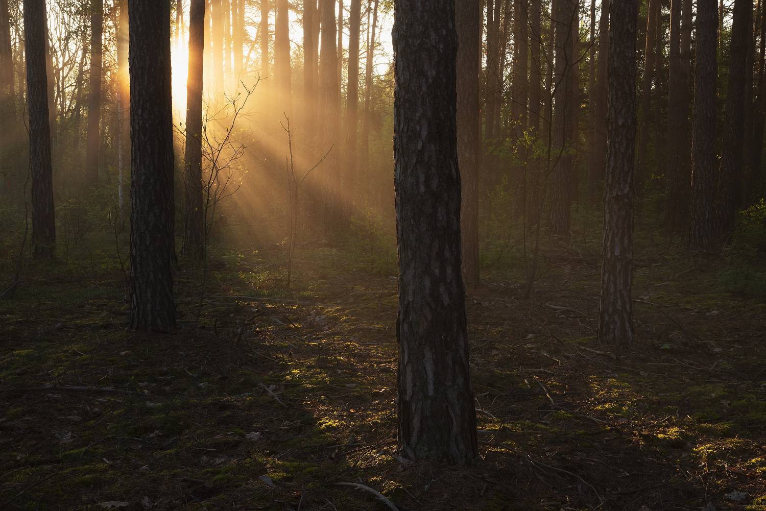 , Захаров Дмитрий