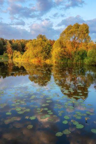 Летний рассвет
