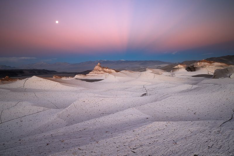 Puna de Atacama