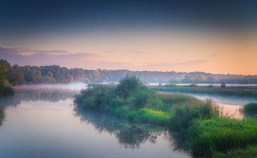 Туманное утро