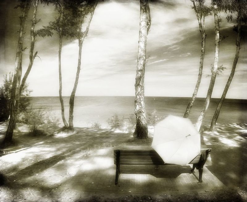 Пейзаж с Зонтом. фото превью