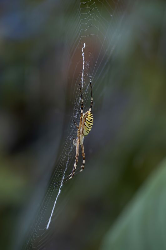 В воздушном пространстве... фото превью