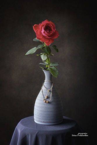 Цветочный минимализм