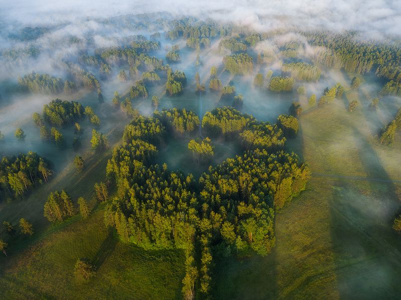 Туманное утро над \