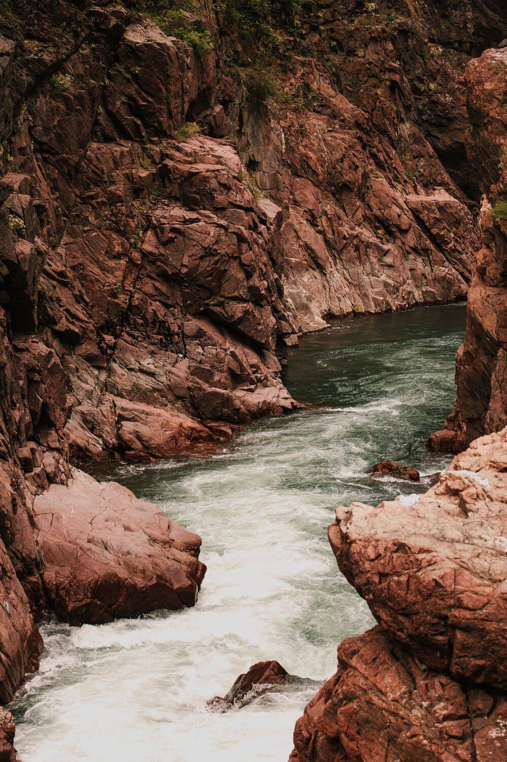 , Даников Анастасия