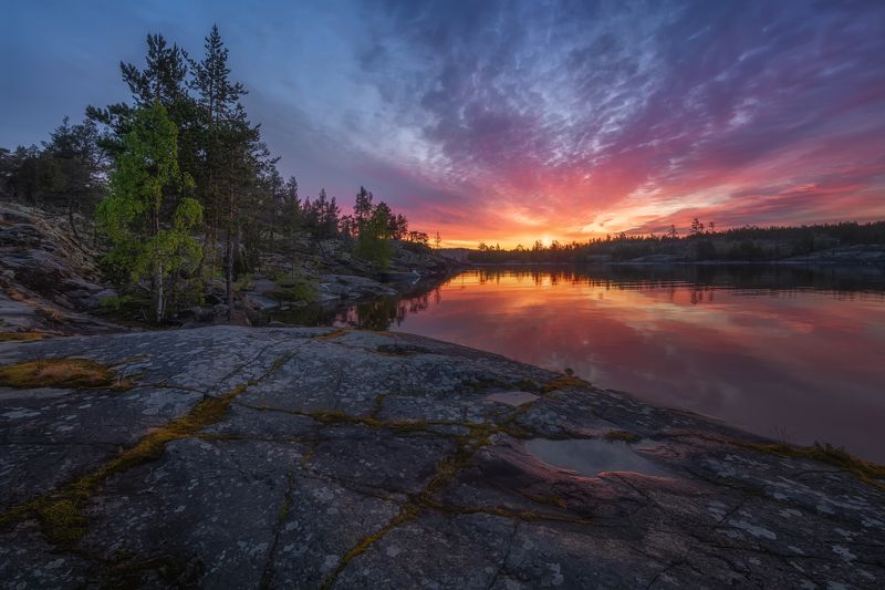 Июньская ночь... фото превью