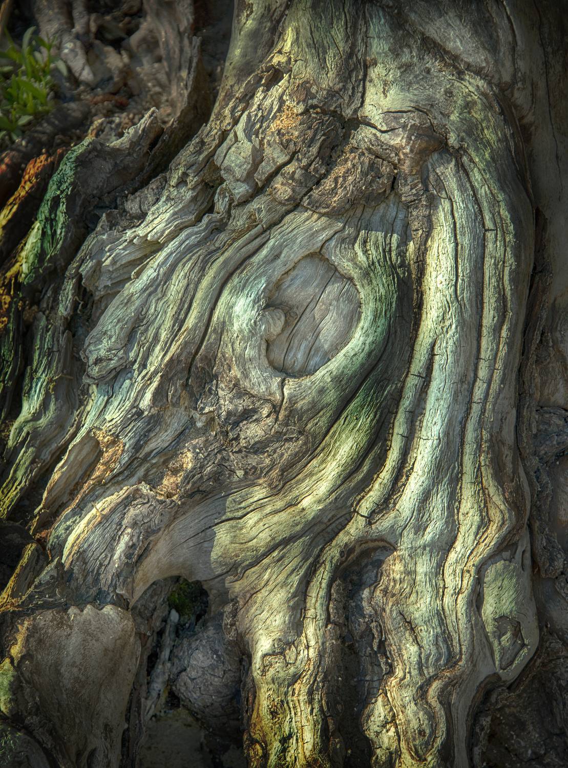 , Борис Кравецкий